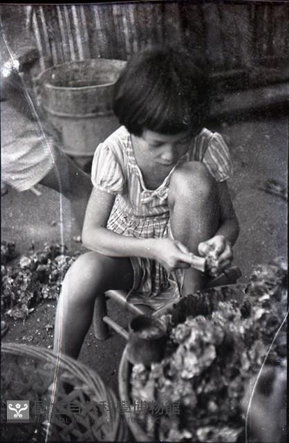 1950至2006年臺灣常民生活藏品圖，第1張