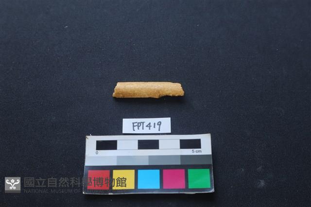鹿骨藏品圖，第1張