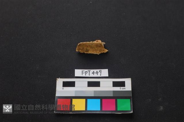 鹿骨藏品圖，第1張