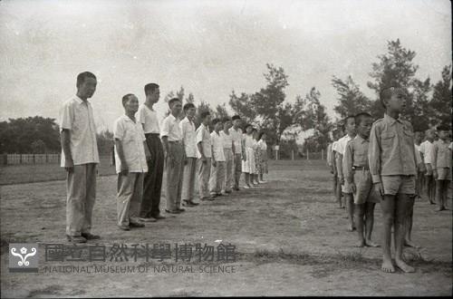 1950至2006年臺灣常民生活藏品圖，第1張