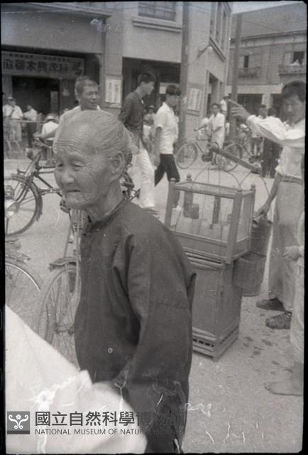 1950至2006年臺灣常民生活藏品圖，第1張