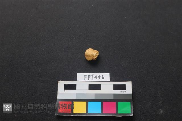 鹿骨藏品圖，第1張