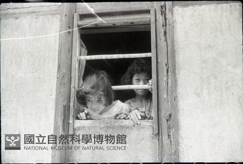 1950至2006年臺灣常民生活藏品圖，第1張