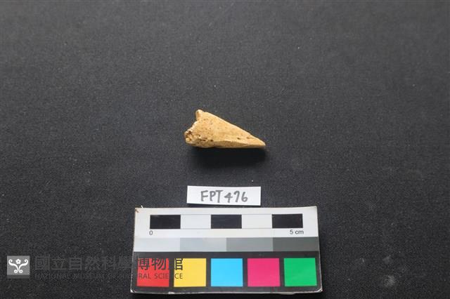 鹿骨藏品圖，第1張