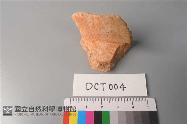 陶片藏品圖，第1張