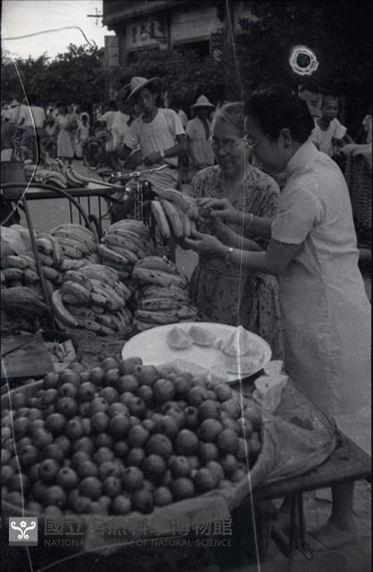 1950至2006年臺灣常民生活藏品圖，第1張