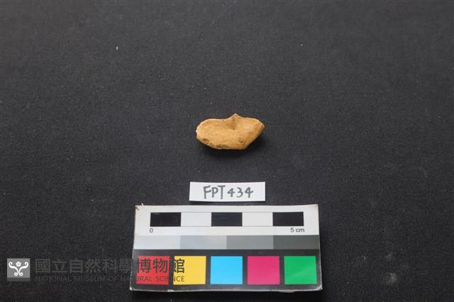 鹿骨藏品圖，第1張