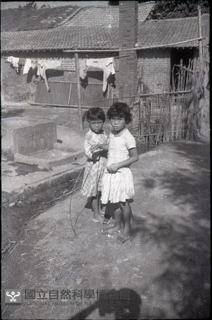 1950至2006年臺灣常民生活藏品圖，第1張