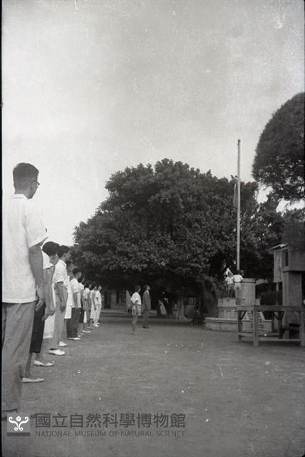 1950至2006年臺灣常民生活藏品圖，第1張