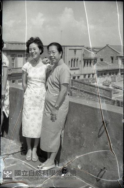 1950至2006年臺灣常民生活藏品圖，第1張