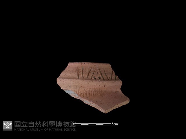 陶罐藏品圖，第1張