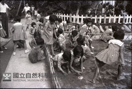 1950至2006年臺灣常民生活藏品圖，第1張