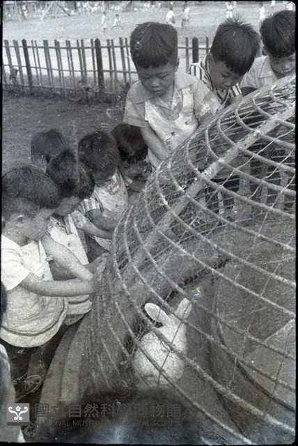 1950至2006年臺灣常民生活藏品圖，第1張