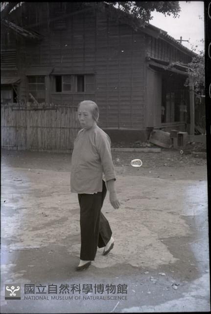 1950至2006年臺灣常民生活藏品圖，第1張