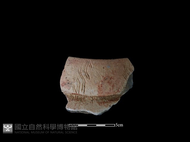 陶罐藏品圖，第1張