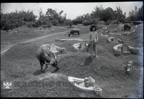 1950至2006年臺灣常民生活藏品圖，第1張