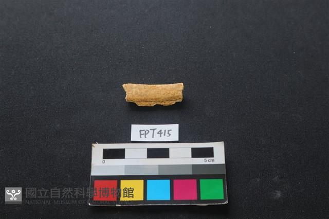 鹿骨藏品圖，第1張
