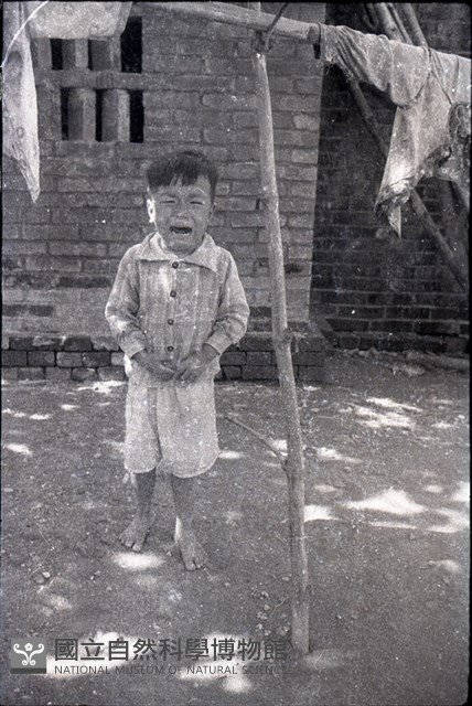 1950至2006年臺灣常民生活藏品圖，第1張
