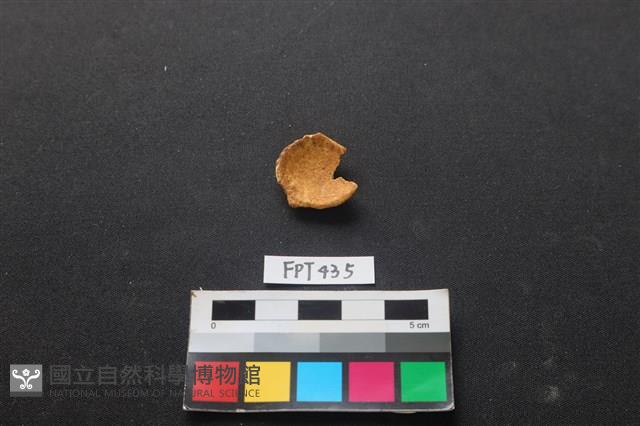 鹿骨藏品圖，第1張