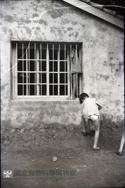 1950至2006年臺灣常民生活藏品圖，第1張