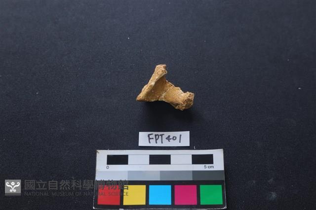 鹿骨藏品圖，第1張