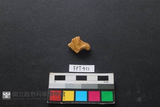 鹿骨藏品圖，第1張