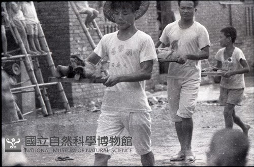 1950至2006年臺灣常民生活藏品圖，第1張