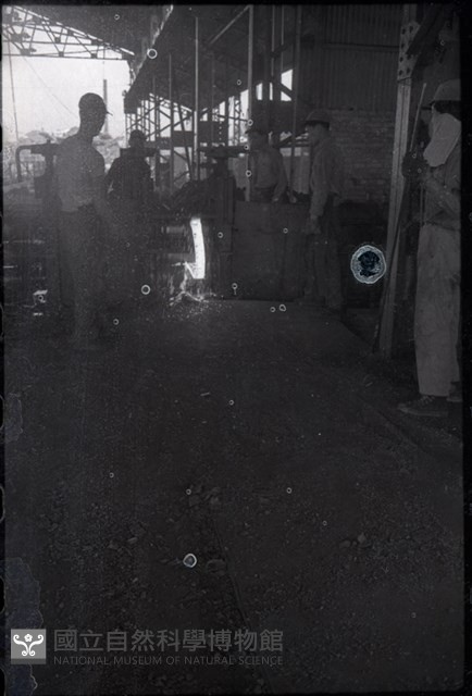 1950至2006年臺灣常民生活藏品圖，第1張