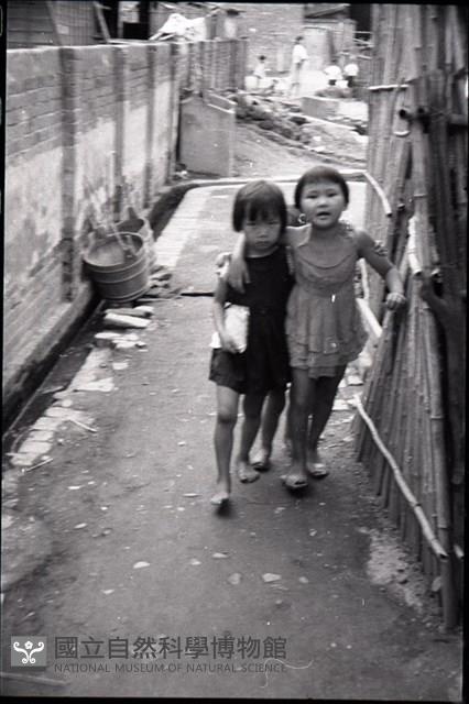 1950至2006年臺灣常民生活藏品圖，第1張