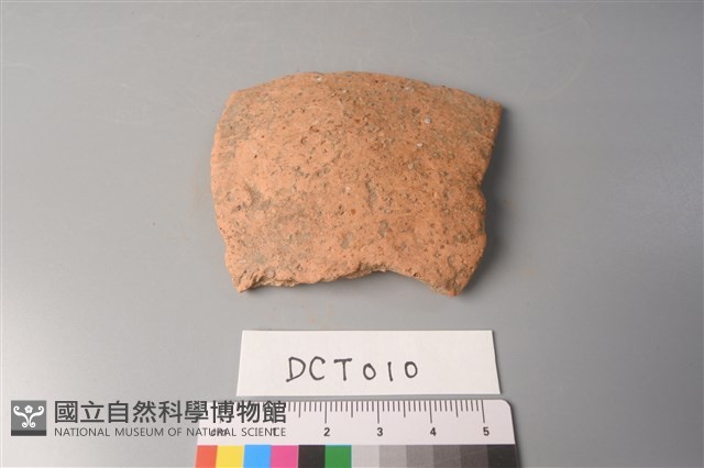 陶片藏品圖，第1張