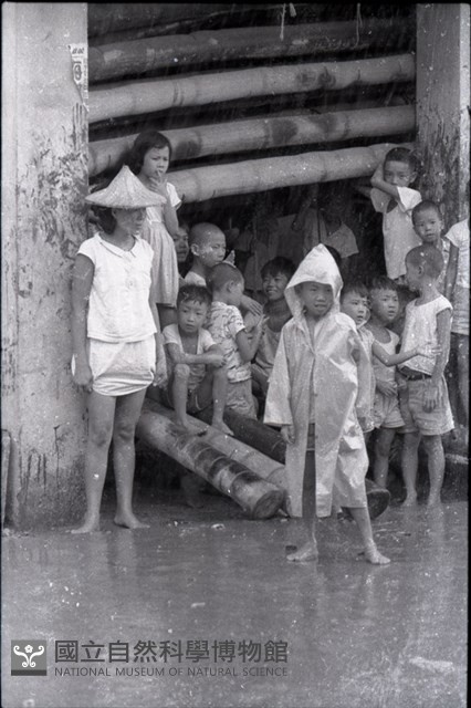 1950至2006年臺灣常民生活藏品圖，第1張