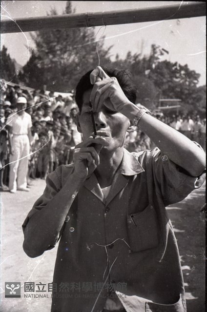 1950至2006年臺灣常民生活藏品圖，第1張