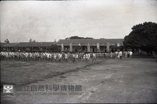1950至2006年臺灣常民生活藏品圖，第1張