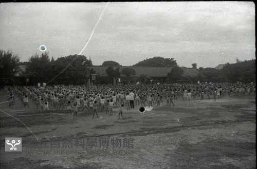 1950至2006年臺灣常民生活藏品圖，第1張
