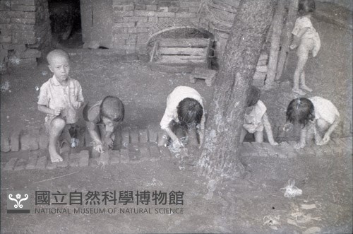 1950至2006年臺灣常民生活藏品圖，第1張