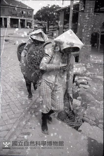 1950至2006年臺灣常民生活藏品圖，第1張