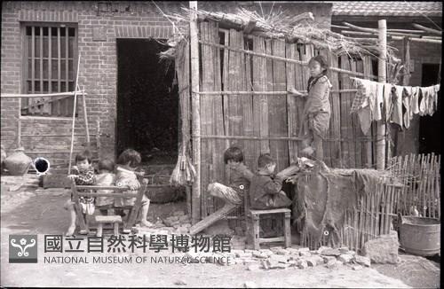 1950至2006年臺灣常民生活藏品圖，第1張