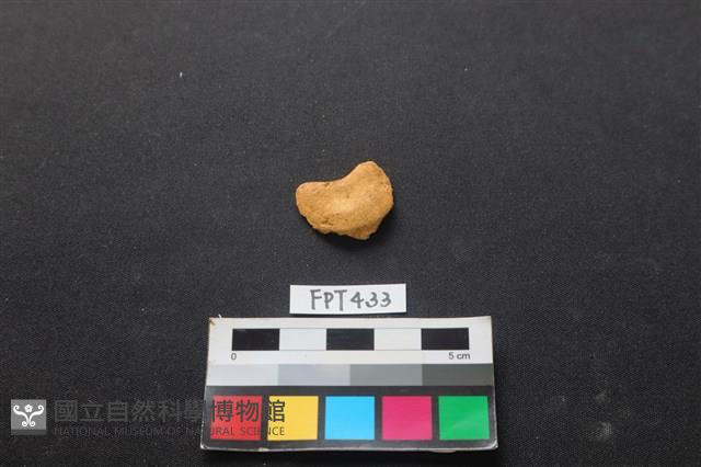 鹿骨藏品圖，第1張