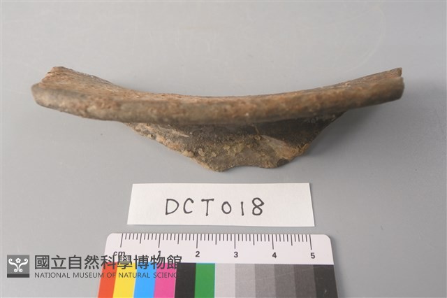 陶片藏品圖，第1張