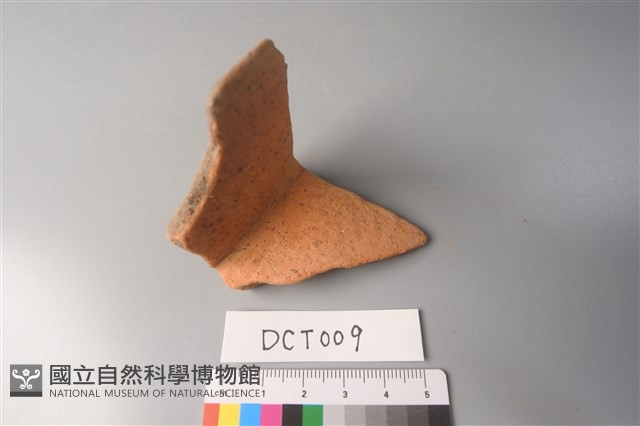 陶片藏品圖，第1張