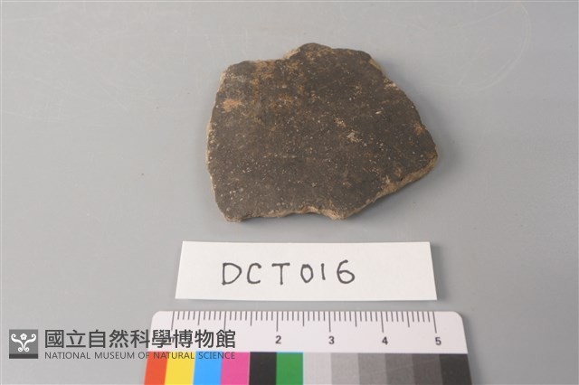 陶片藏品圖，第1張
