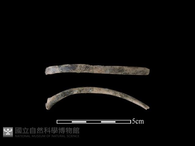 狗骨藏品圖，第1張