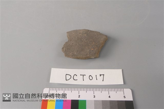 陶片藏品圖，第1張