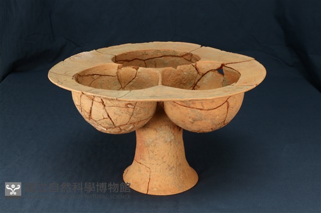 連杯形器藏品圖，第1張