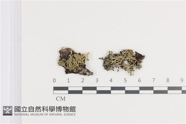 登錄號:L00002482藏品圖，第1張