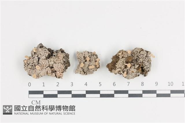 登錄號:L00001522藏品圖，第1張