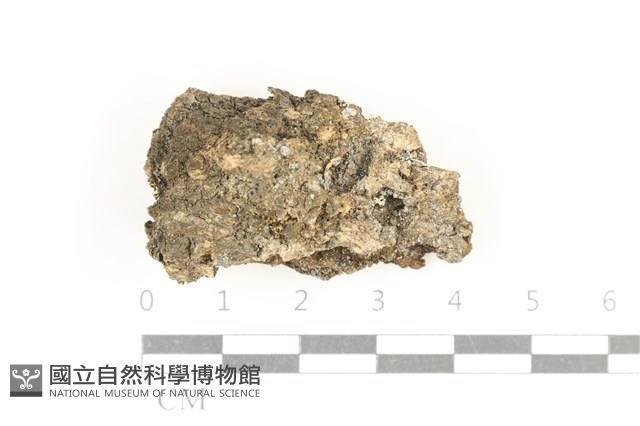 登錄號:L00005068藏品圖，第1張