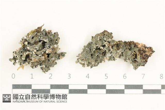 登錄號:L00002218藏品圖，第1張