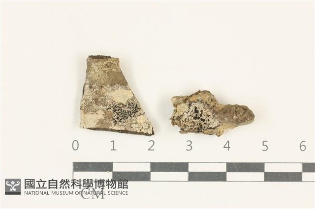 登錄號:L00005128藏品圖，第1張