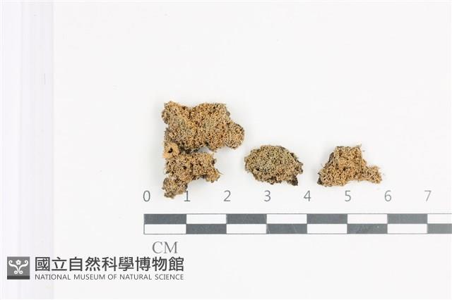 登錄號:L00003078藏品圖，第1張